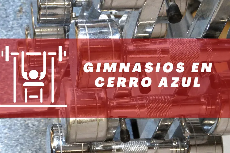 Gimnasios en {municipio(municipio}
