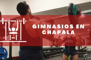 Gimnasios en Chapala