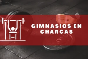 Gimnasios en Charcas