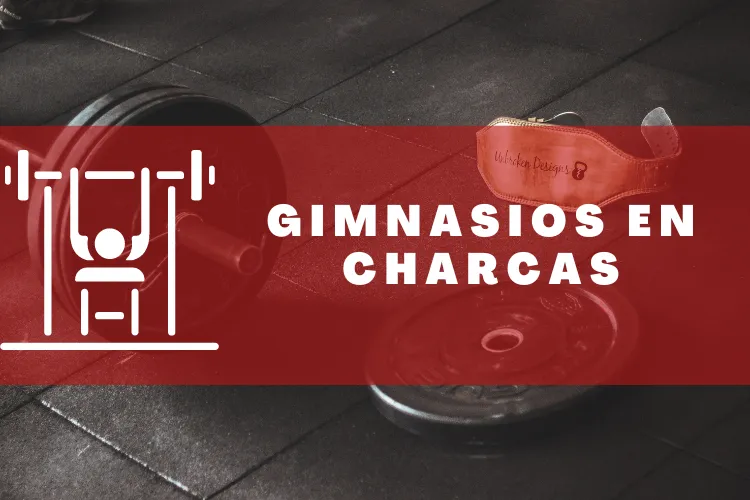 Gimnasios en {municipio(municipio}