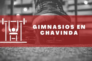 Gimnasios en Chavinda