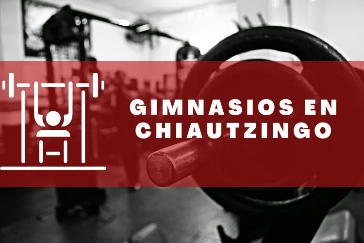 Gimnasios en {municipio(municipio}
