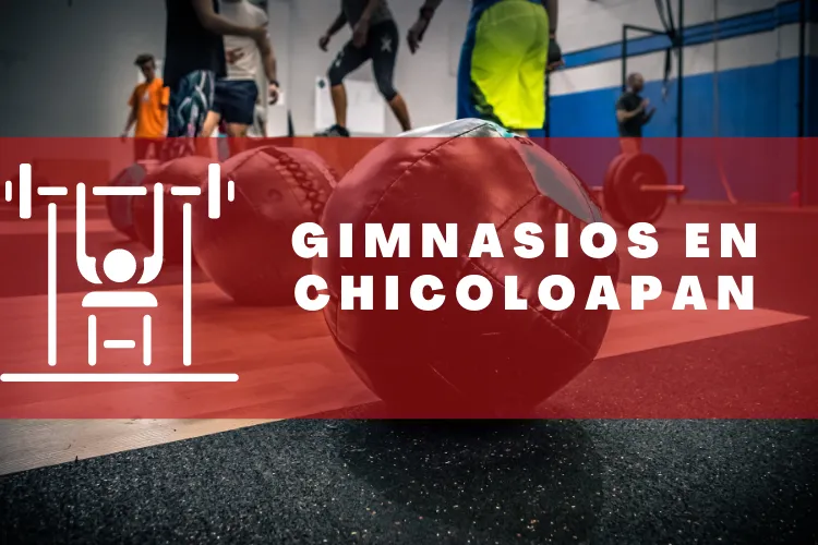 Gimnasios en {municipio(municipio}