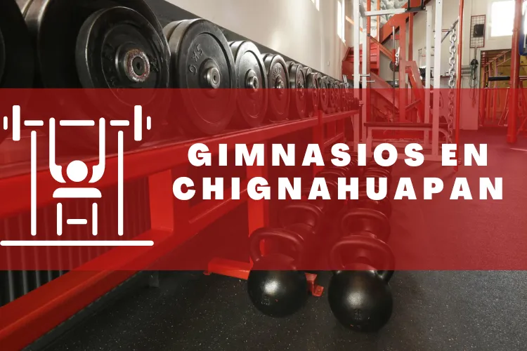 Gimnasios en {municipio(municipio}