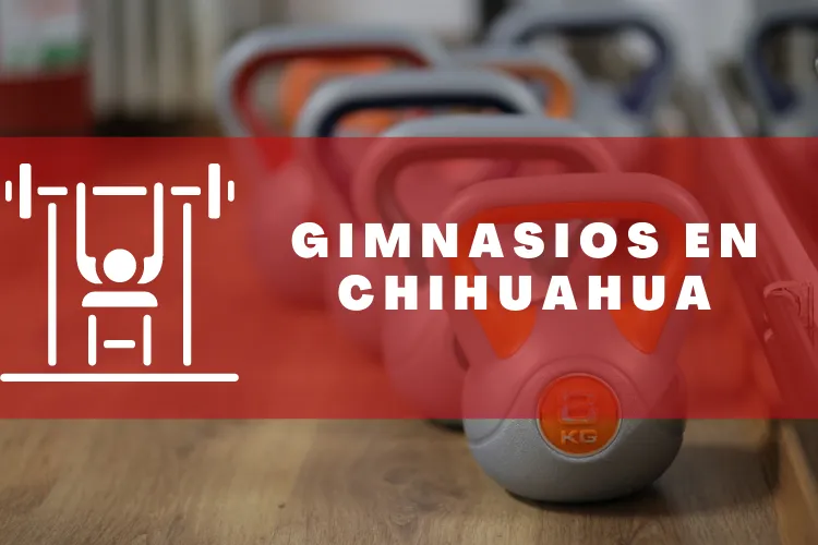 Gimnasios en {municipio(municipio}