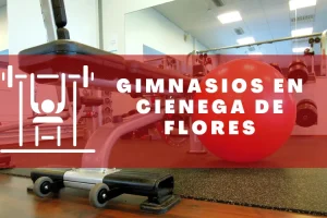 Gimnasios en Ciénega de Flores