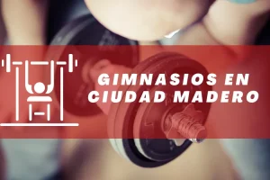 Gimnasios en Ciudad Madero