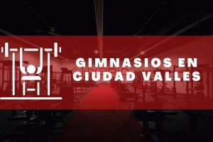 Gimnasios en Ciudad Valles