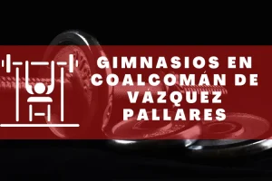 Gimnasios en Coalcomán de Vázquez Pallares