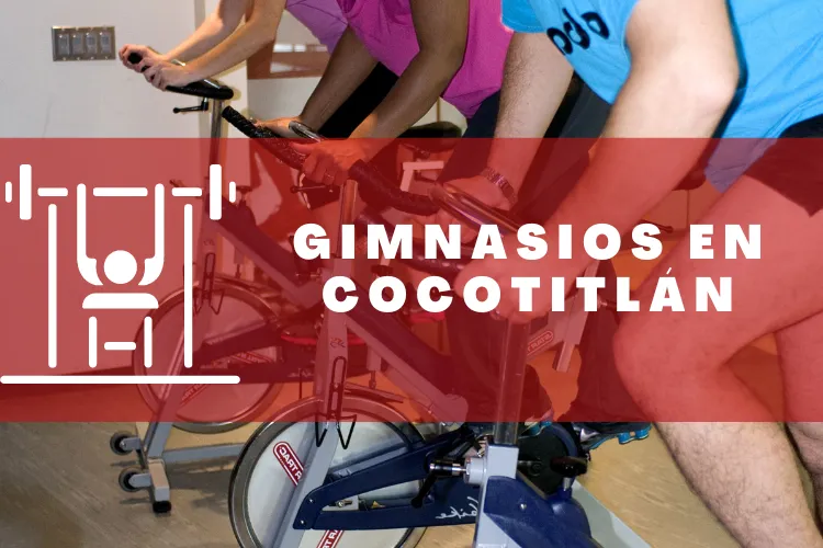 Gimnasios en {municipio(municipio}