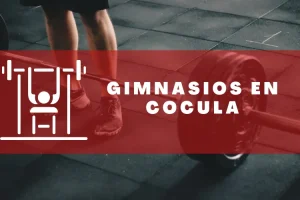 Gimnasios en Cocula