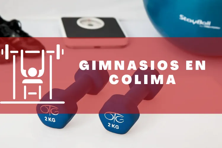 Gimnasios en {municipio(municipio}