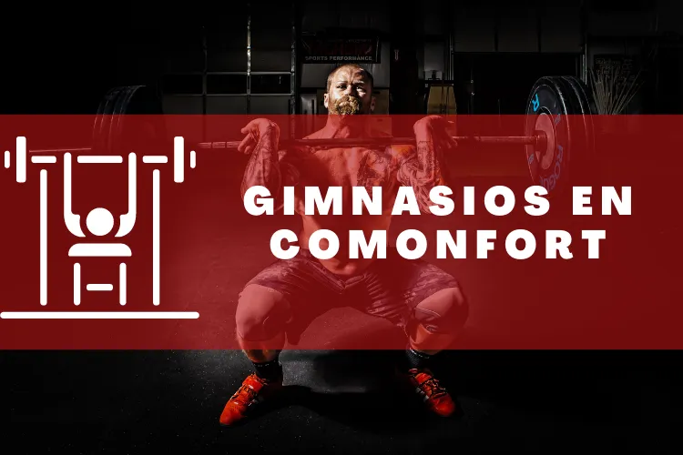 Gimnasios en {municipio(municipio}