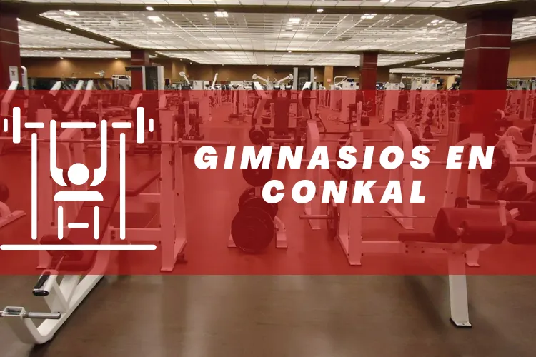 Gimnasios en {municipio(municipio}