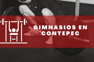 Gimnasios en Contepec