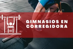 Gimnasios en Corregidora