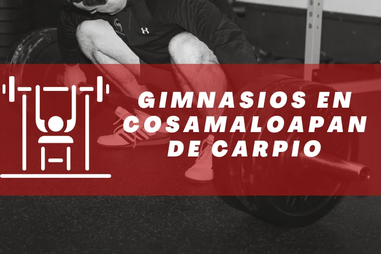 Gimnasios en {municipio(municipio}