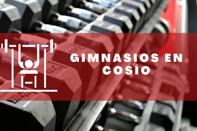 Gimnasios en {municipio(municipio}