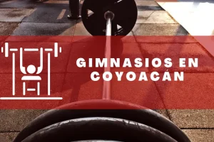 Gimnasios en Coyoacán