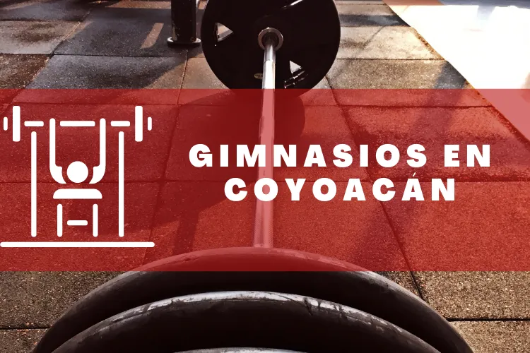 Gimnasios en {municipio(municipio}