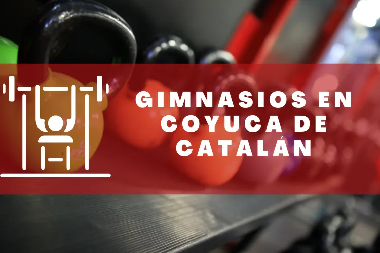 Gimnasios en {municipio(municipio}