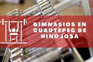 Gimnasios en Cuautepec de Hinojosa