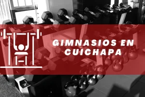 Gimnasios en Cuichapa