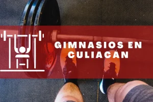 Gimnasios en Culiacán