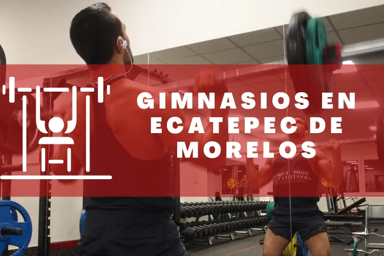 Gimnasios en {municipio(municipio}