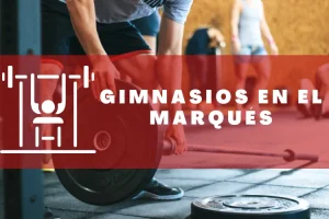 Gimnasios en El Marqués