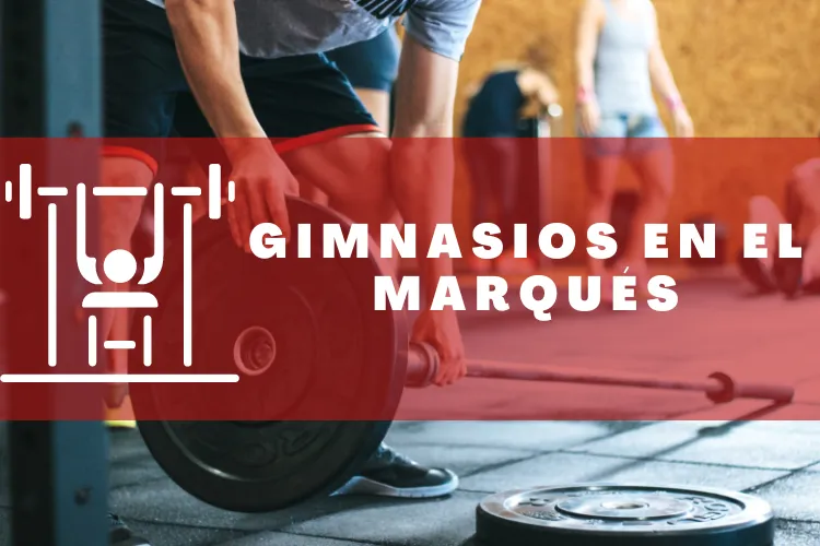 Gimnasios en {municipio(municipio}