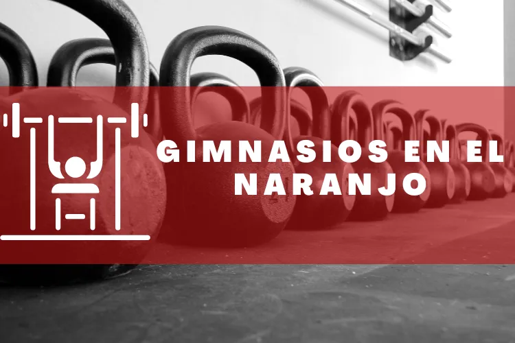 Gimnasios en {municipio(municipio}