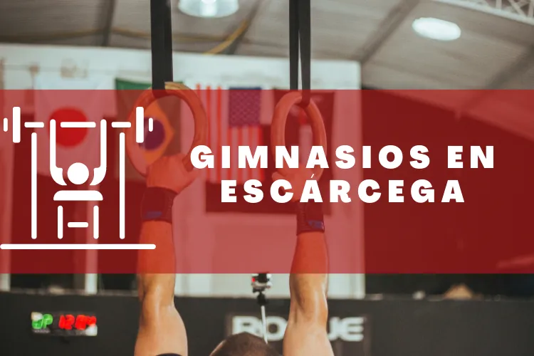 Gimnasios en {municipio(municipio}