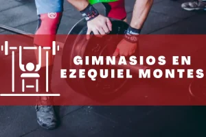 Gimnasios en Ezequiel Montes