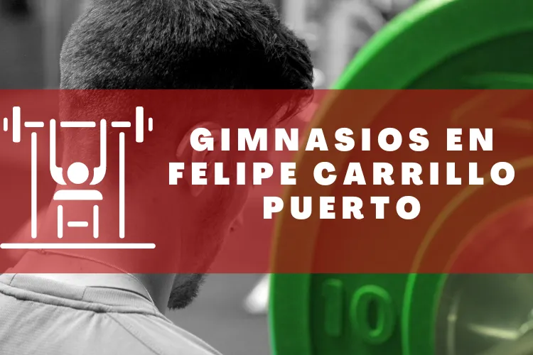 Gimnasios en {municipio(municipio}