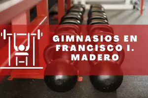 Gimnasios en Francisco I. Madero