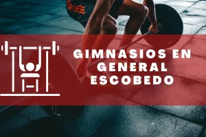 Gimnasios en General Escobedo