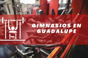 Gimnasios en Guadalupe