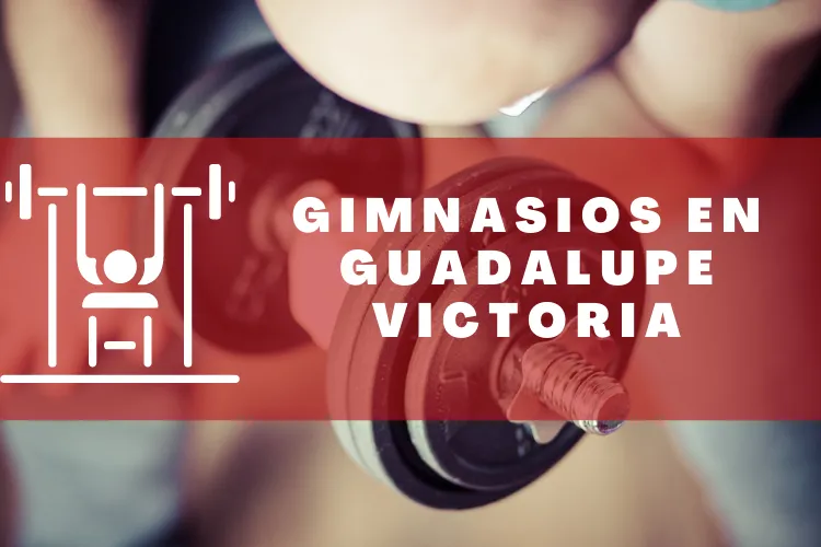 Gimnasios en {municipio(municipio}