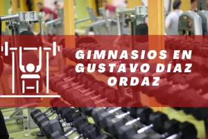 Gimnasios en Gustavo Díaz Ordaz