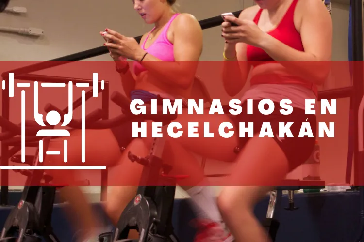 Gimnasios en {municipio(municipio}