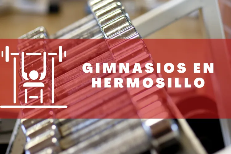 Gimnasios en {municipio(municipio}