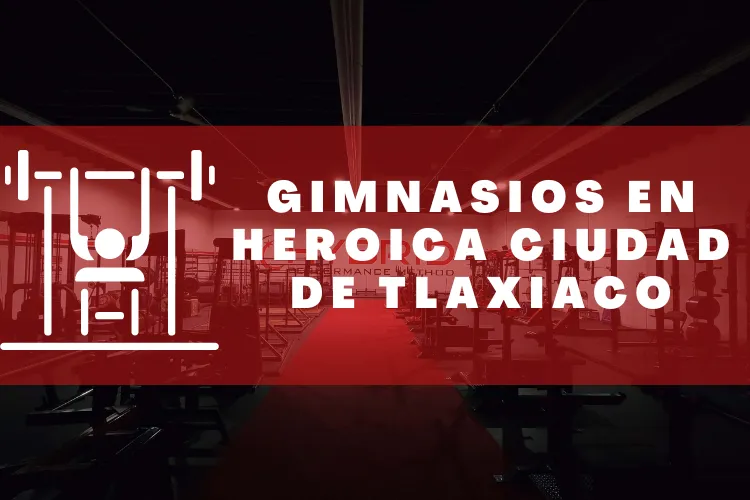 Gimnasios en {municipio(municipio}