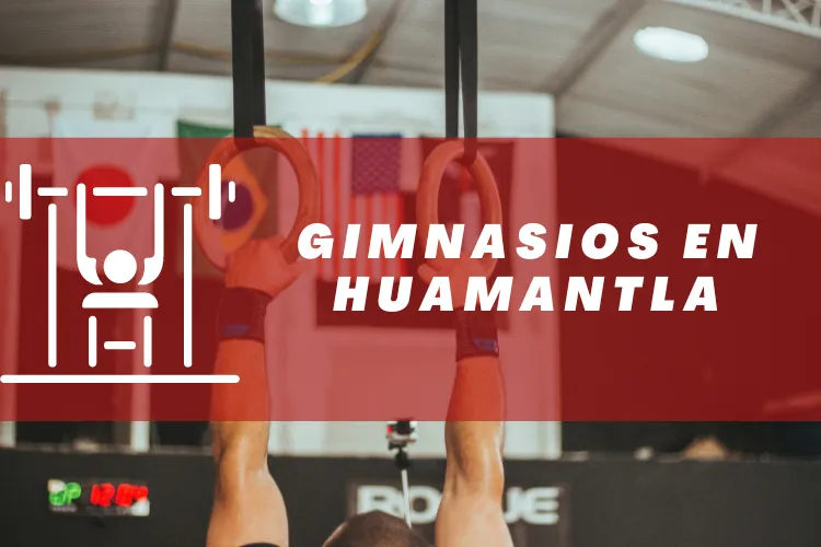 Gimnasios en {municipio(municipio}
