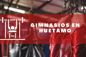 Gimnasios en Huetamo