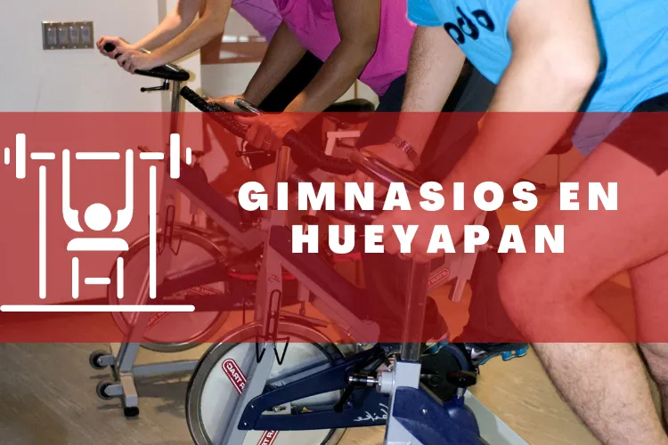 Gimnasios en {municipio(municipio}
