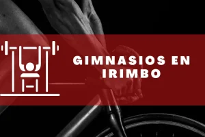 Gimnasios en Irimbo