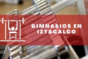 Gimnasios en Iztacalco