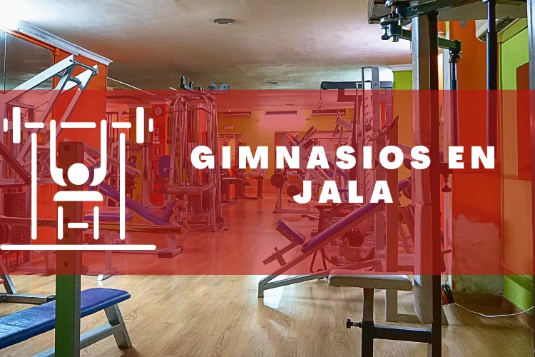 Gimnasios en {municipio(municipio}
