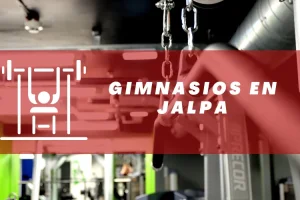 Gimnasios en Jalpa